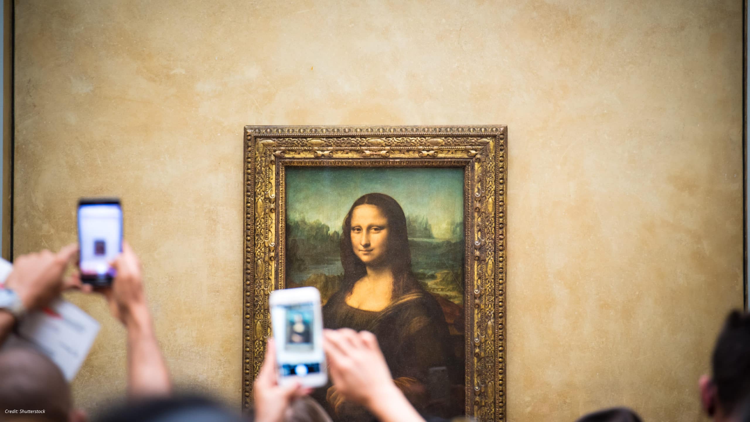 Перед какой картиной. Леонардо да Винчи Мона Лиза оригинал. Картина Мона Лиз в музее. Сфотографироваться с картиной. Картины сфотографированные.