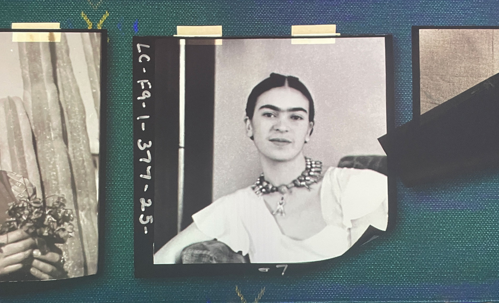 Belajar Budaya di Pameran Frida Kahlo: The Life of An Icon