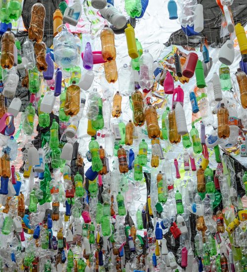 Cape,Town/south,Africa,-,September,,25,,2020.,Plastic,Bottles,Hanging