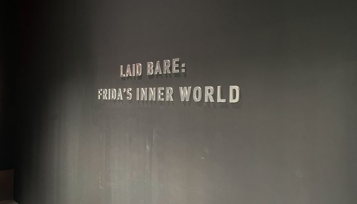 Laid Bare: Frida's Inner World, Dok. Written