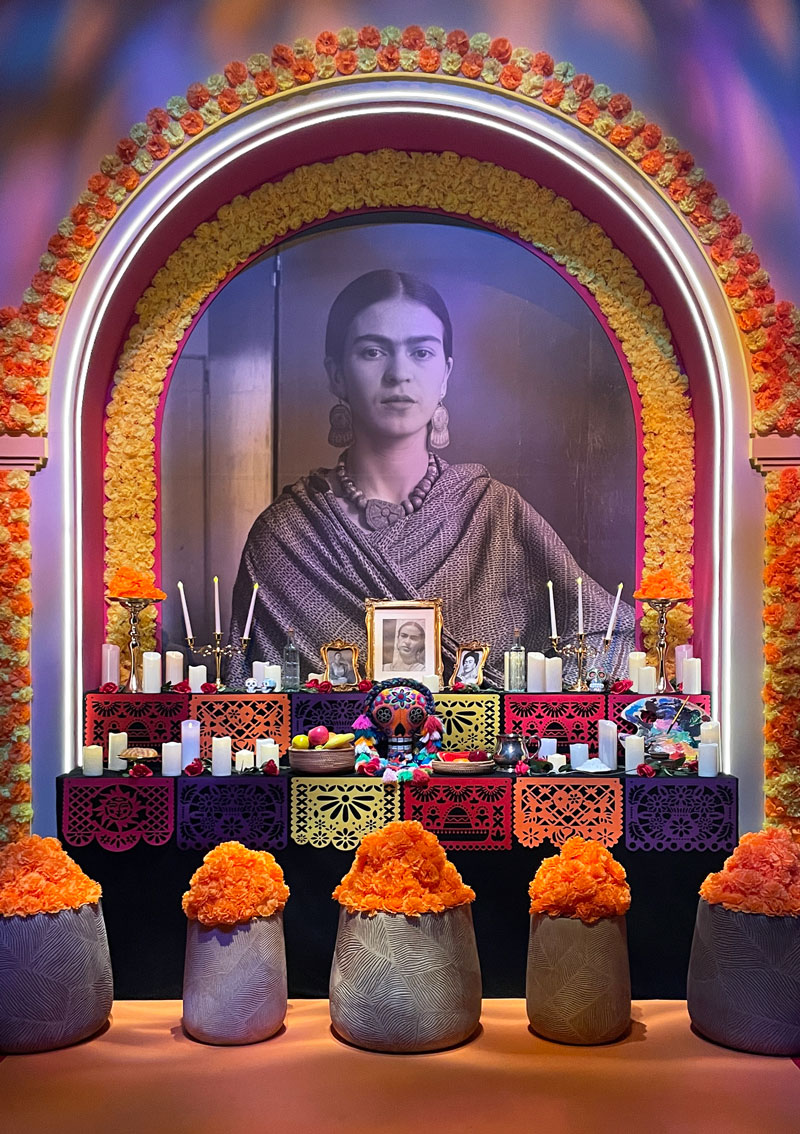 Frida Kahlo: Life of An Icon