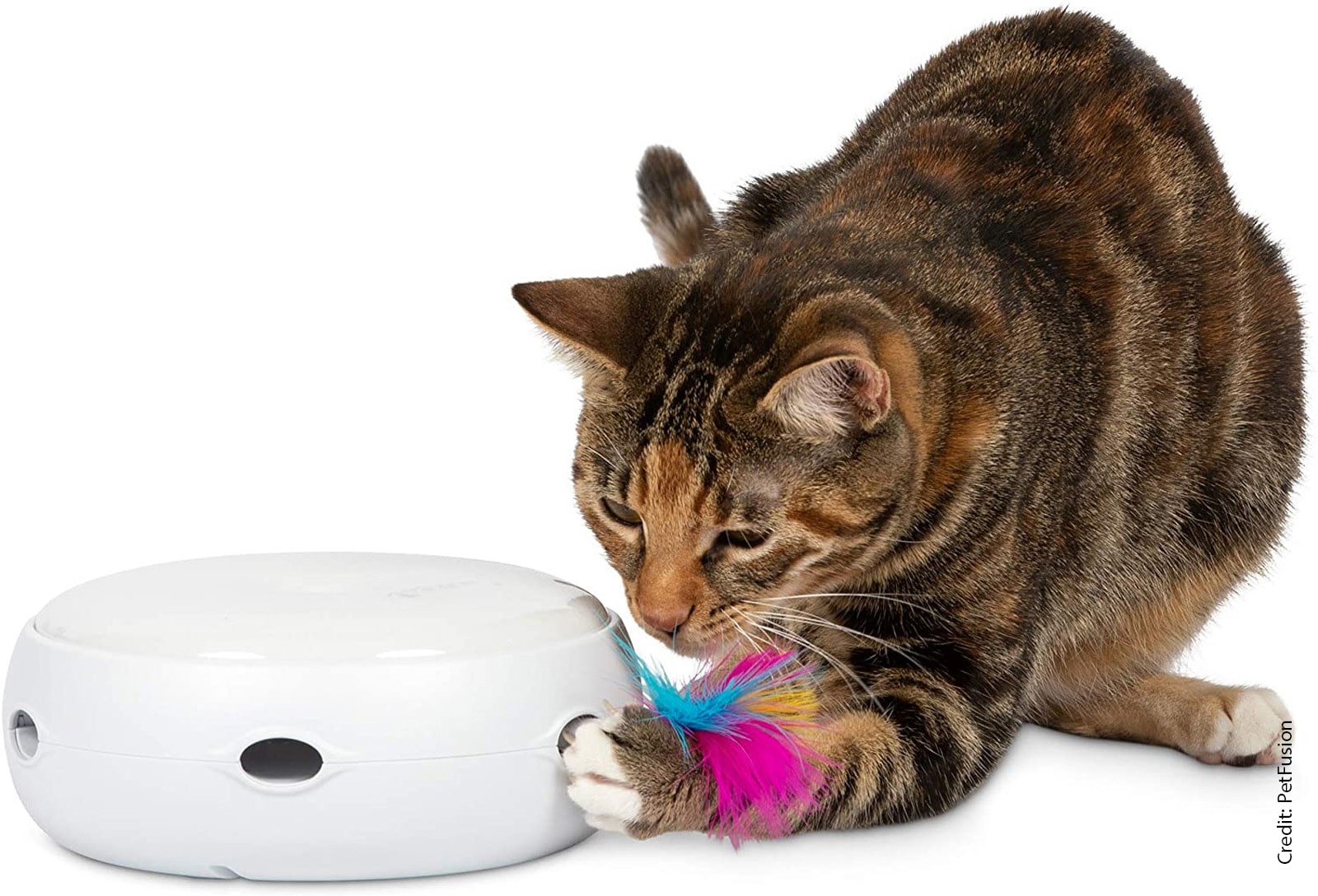 PetFusion Ambush Interactive Electronic Cat Toy
