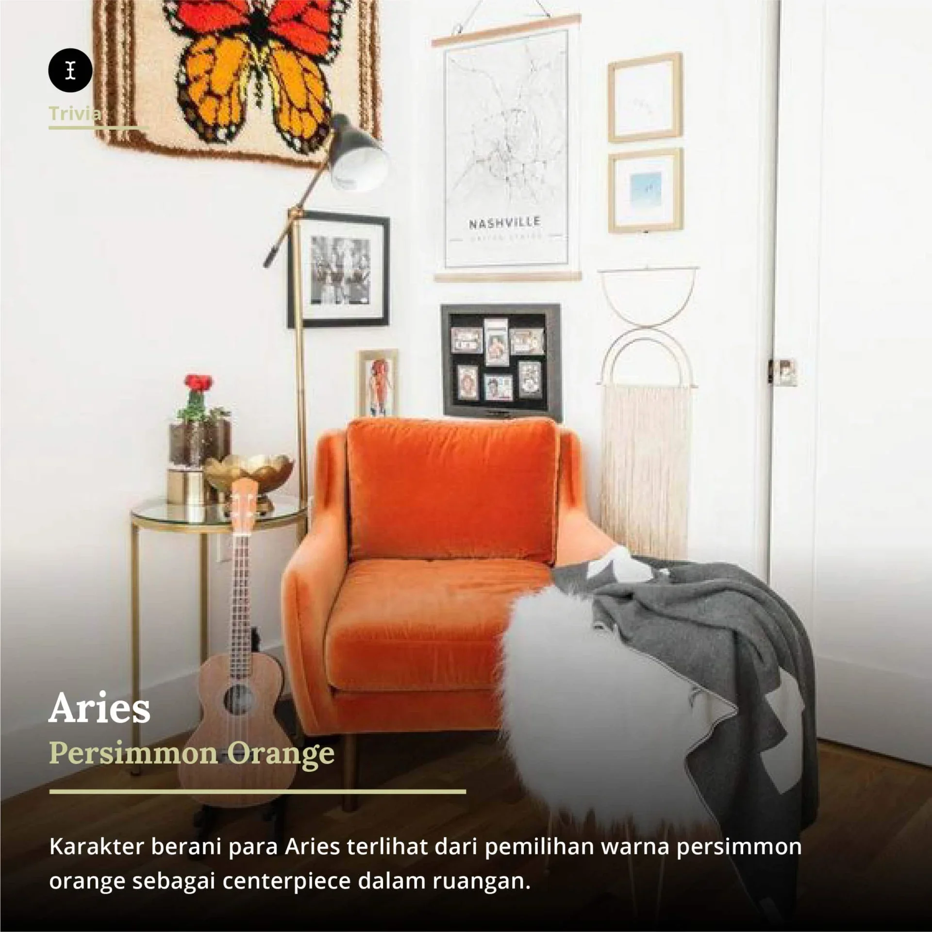 interior aries